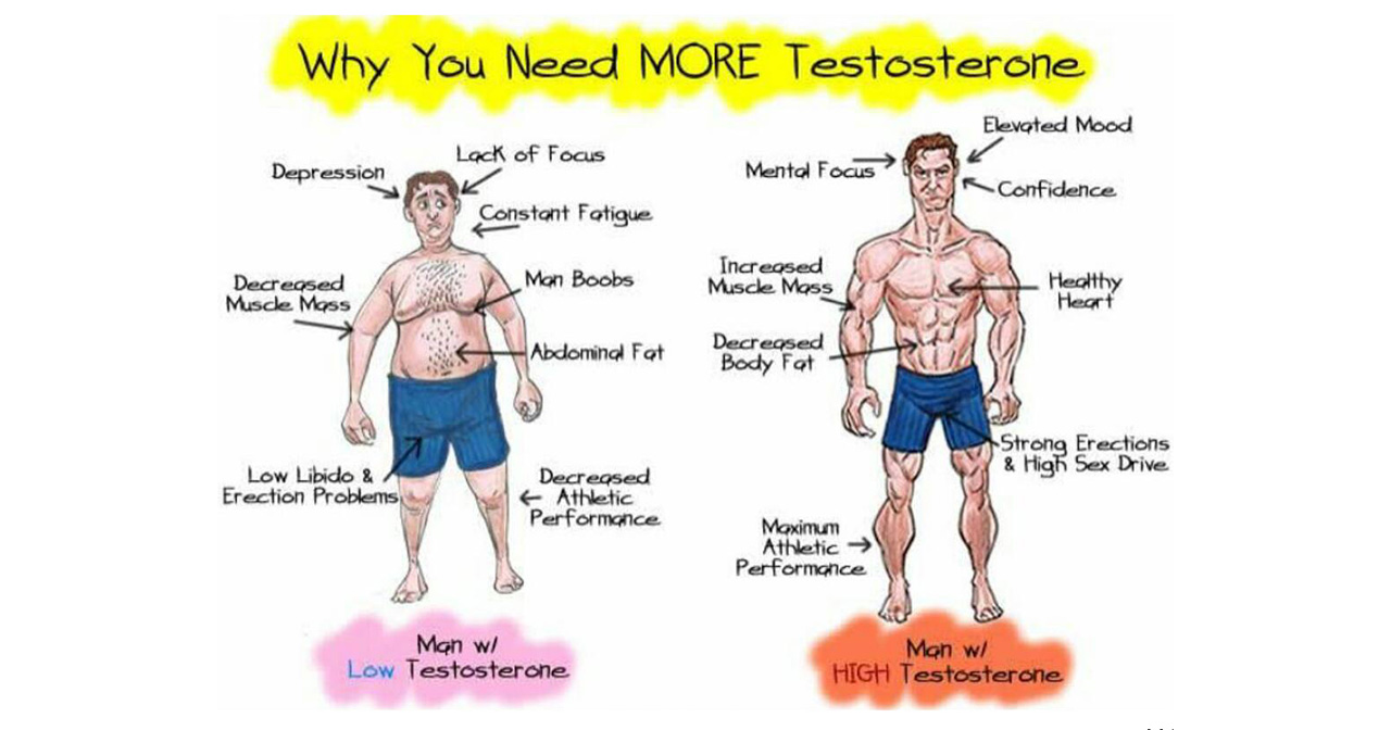 Waarom hebben mannen meer testosteron nodig? Livios Waarom hebben mannen meer testosteron nodig? Livios